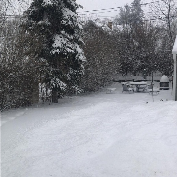 Meet your Posher, Matt - Picture 1 of 1